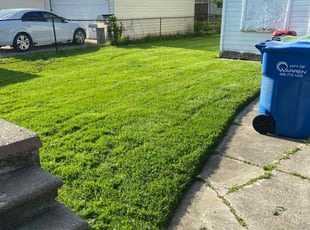 Lina R.'s lawn care services service result