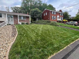 June D.'s grass cutting service result