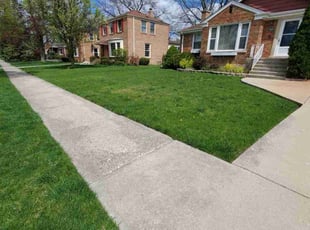 Jacquelyn B.'s turf maintenance service result