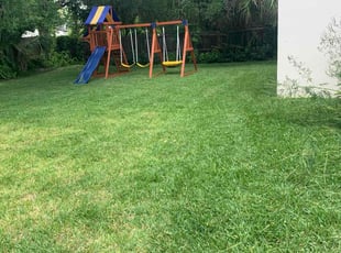 Laquitta B.'s lawn service service result