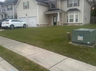 Timothy W.'s grass maintenance service result