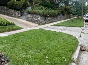 Trish B.'s lawn maintenance service result