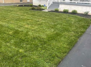 Kesha H.'s Bush Trimming service result