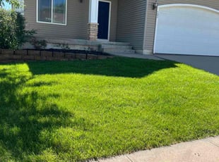 Kevin S.'s yard care service result