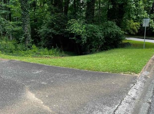 Lorraine A.'s lawn maintenance service result