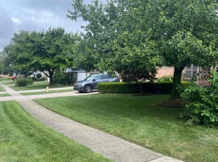 Babs D.'s lawn service service result