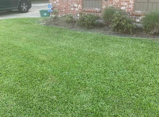 Matthew S.'s lawn maintenance service result