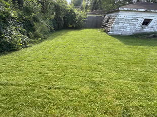 Rhonda F.'s lawn care services service result