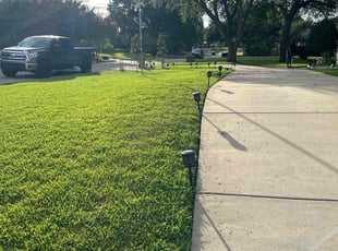 Alexis M.'s turf maintenance service result