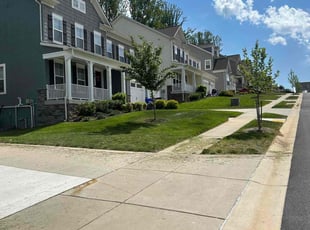 Buddy D.'s turf maintenance service result