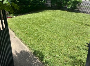 Vic P.'s lawn care services service result