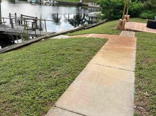 Diane J.'s turf care service result