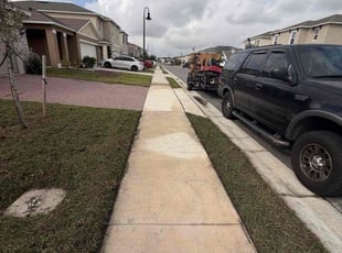 Sylvia T.'s grass cutting service result