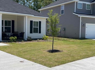 Marilyn V.'s grass cutting service result