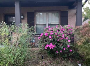 Dennis R.'s Bush Trimming service result