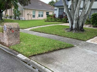Michelle A.'s lawn care service result