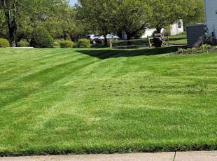 David E.'s turf maintenance service result