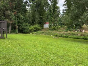 Pamela R.'s turf maintenance service result
