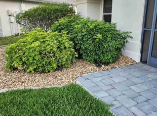 Angela S.'s Flower Bed Weeding service result