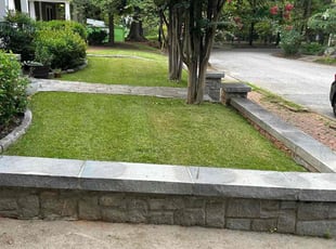 Richardo M.'s turf care service result