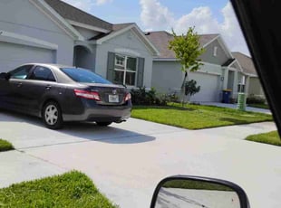 Tracie B.'s lawn care service result