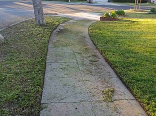 Janet H.'s turf care service result