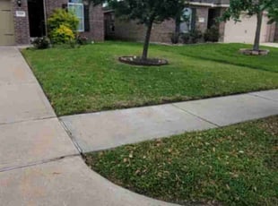James B.'s turf care service result