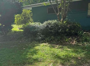 Tepsiri H.'s Bush Trimming service result