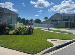 Jason F.'s turf care service result