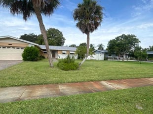 Sharresa S.'s lawn care services service result