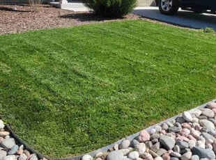 Curt M.'s turf maintenance service result