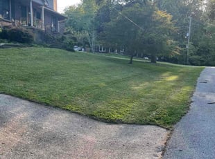 William R.'s turf maintenance service result