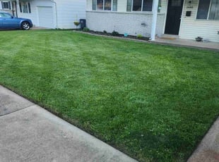 Terry S.'s lawn care service result