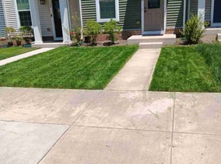 Wanda W.'s lawn care services service result