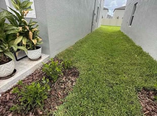 Steven B.'s lawn maintenance service result