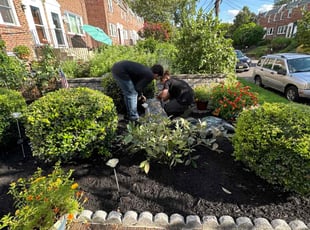 Margaret F.'s Mulching service result