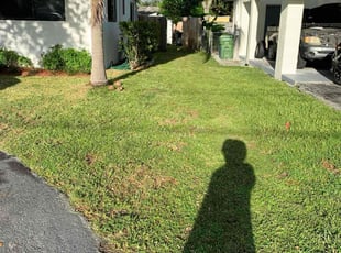 Laura B.'s grass maintenance service result