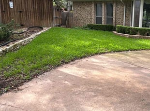 Eddie B.'s grass maintenance service result