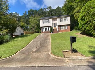 Peter M.'s turf care service result