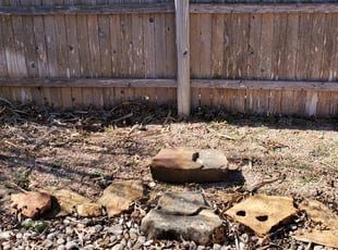 Kylie M.'s Bush Trimming service result
