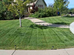 Victoria G.'s grass maintenance service result