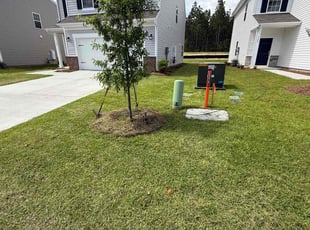 Joshua T.'s turf care service result