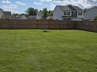 James H.'s grass cutting service result