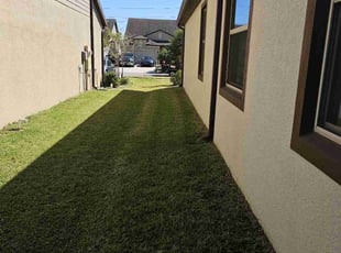 Edward M.'s lawn service service result