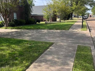Matthew W.'s yard service service result
