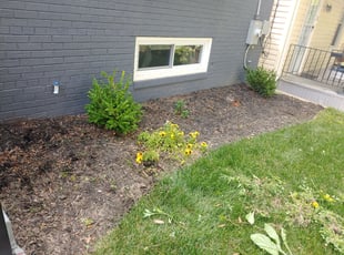 Angel C.'s Flower Bed Weeding service result