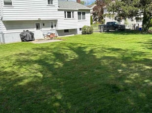 Colleen L.'s turf maintenance service result
