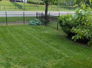 Helen S.'s grass cutting service result