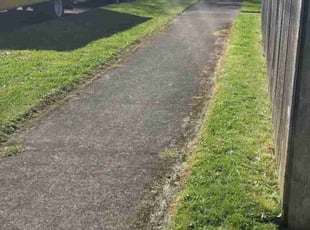 Luis C.'s turf maintenance service result