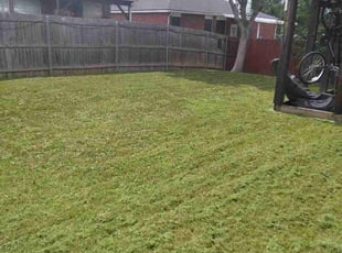Eric W.'s lawn service service result